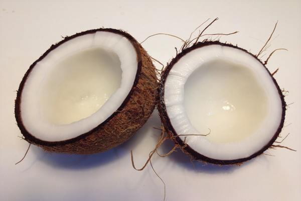 This image has an empty alt attribute; its file name is close-up-coconut-food-221074.jpg